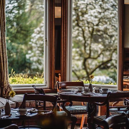 Ambleside Manor - Vegetarian B&B Exterior photo